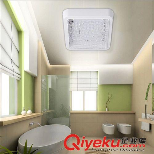 LED廚衛燈 陽臺燈高亮LED5730貼片吸頂燈浴窒燈 圓形明裝廠家批發