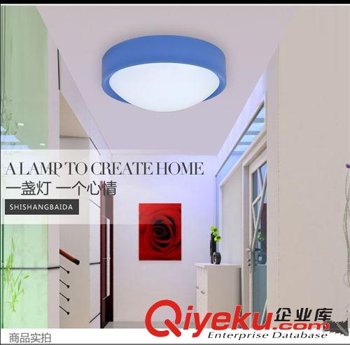 爆款led吸頂燈 臥室客廳陽臺(tái)廚房衛(wèi)生間餐廳現(xiàn)代簡約燈飾LDF008