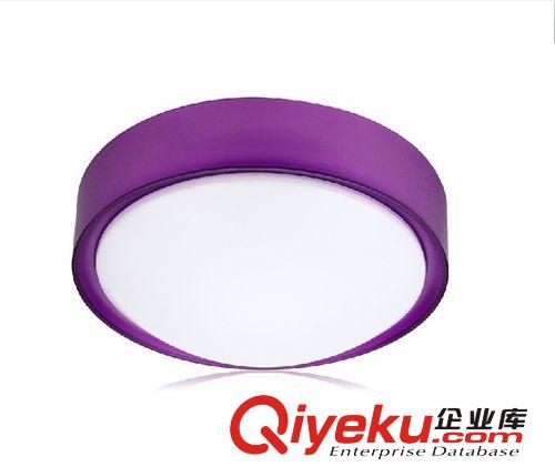 爆款led吸頂燈 臥室客廳陽臺(tái)廚房衛(wèi)生間餐廳現(xiàn)代簡約燈飾LDF008原始圖片2