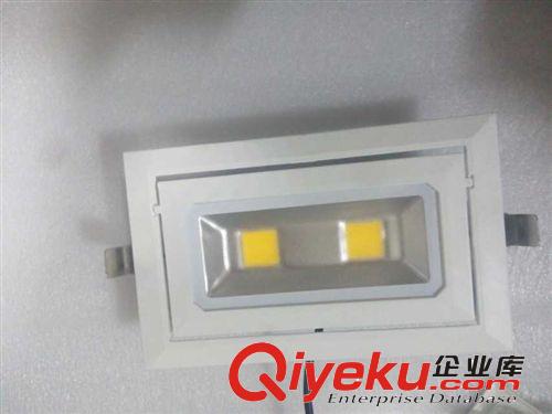 LED室內投射燈30W,高品質,訂制性LED燈,山東青島