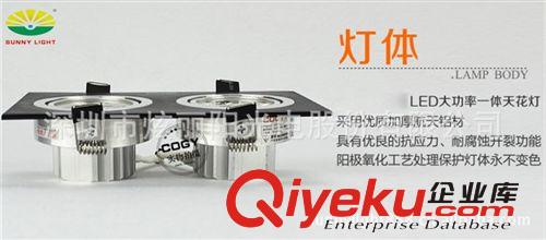 廣東深圳廠家生產銷售/大功率可調控LED天花燈斗膽燈