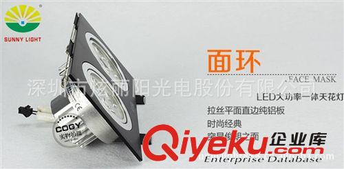 廣東深圳廠家生產銷售/大功率可調控LED天花燈斗膽燈