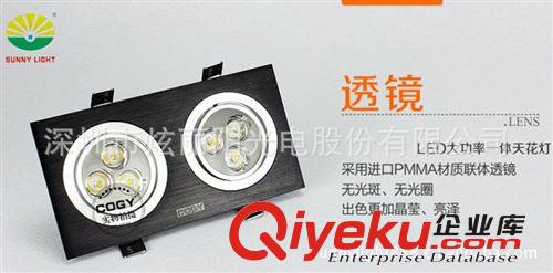 廣東深圳廠家生產銷售/大功率可調控LED天花燈斗膽燈
