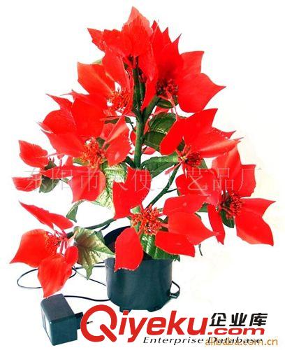 供應光纖花(圖)
