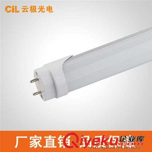 LED G9燈珠 AC110V/220V插腳小玉米燈 外貿熱銷光源 廠家直銷