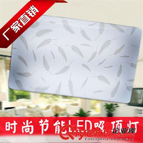{zx1}新款長(zhǎng)方led吸頂燈亞克力臥室客燈陽(yáng)臺(tái)燈廚衛(wèi)燈書房燈吸頂燈原始圖片3