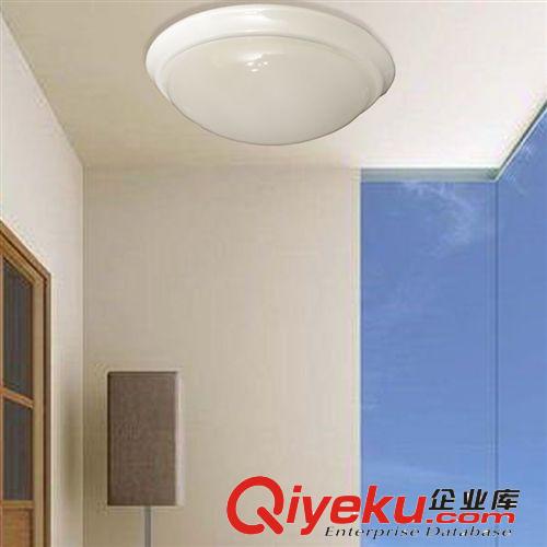 LED吸頂燈現代簡約鋁材臥室燈客廳陽臺廚衛餐廳燈飾節能燈具原始圖片3