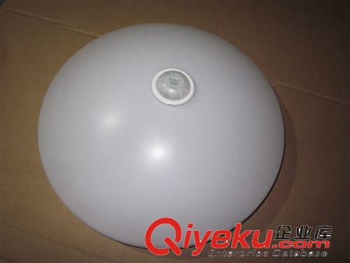 紅外感應吸頂燈 12W LED吸頂燈 樓道燈 聲光控吸頂燈 白光210mm原始圖片2