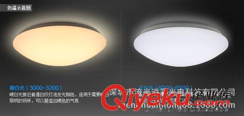 LED 廚衛(wèi)吸頂燈