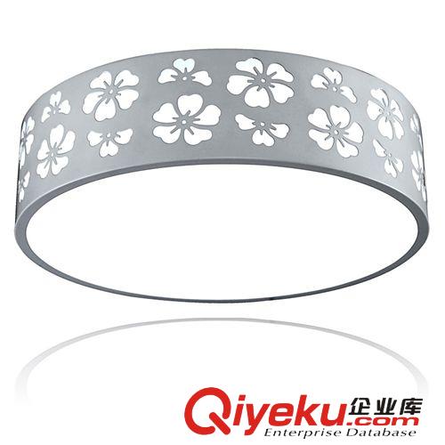 廠家直銷 新款LED吸頂燈 簡約燈 裝修照明 吸頂燈具 燈燈飾 BL019原始圖片2