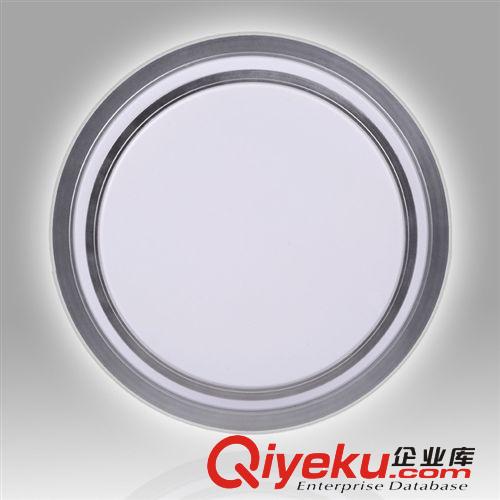 廠家直銷 吸頂燈 LED客廳臥室燈 圓形亞克力燈具 創意燈具 BL004S原始圖片2