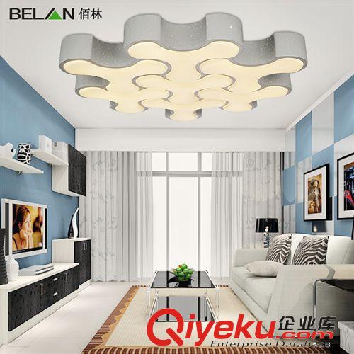 廠家直銷創意客廳燈LED吸頂燈現代簡約臥室燈溫馨 藝術燈具 BL268原始圖片3