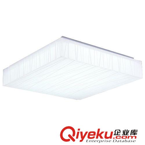 廠家直銷 LED吸頂燈 田園式客廳燈 現代簡約燈具 吸頂燈 BL029原始圖片2