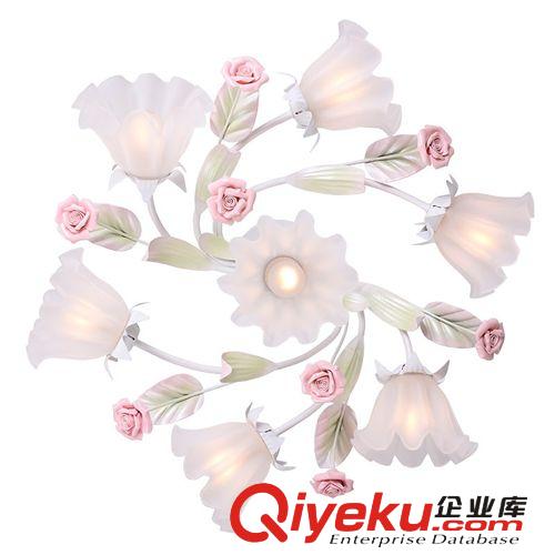 廠家直銷 田園燈具 現(xiàn)代藝術燈飾 家用燈飾燈具 創(chuàng)意性燈具BL040S原始圖片2