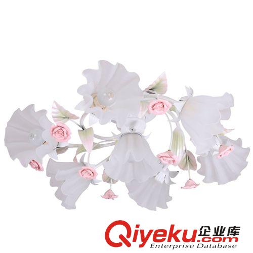 廠家直銷 田園燈具 現(xiàn)代藝術燈飾 家用燈飾燈具 創(chuàng)意性燈具BL040S原始圖片3