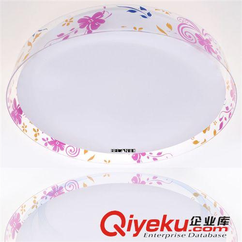 廠家批發(fā) led吸頂燈  燈具 臥室客廳燈具 亞克力燈飾 BL005