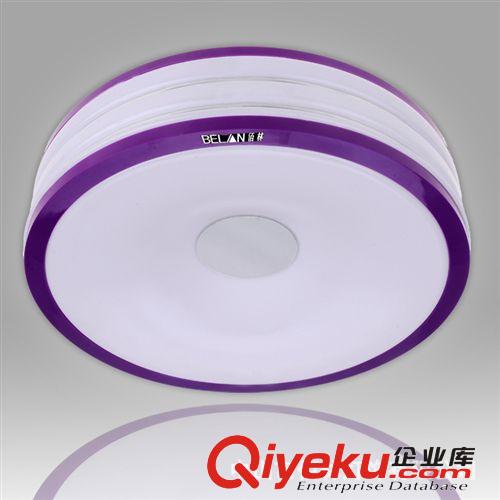 燈飾燈具廠家批發 led吸頂燈 客廳燈飾 臥室燈具 亞克力燈具BL001