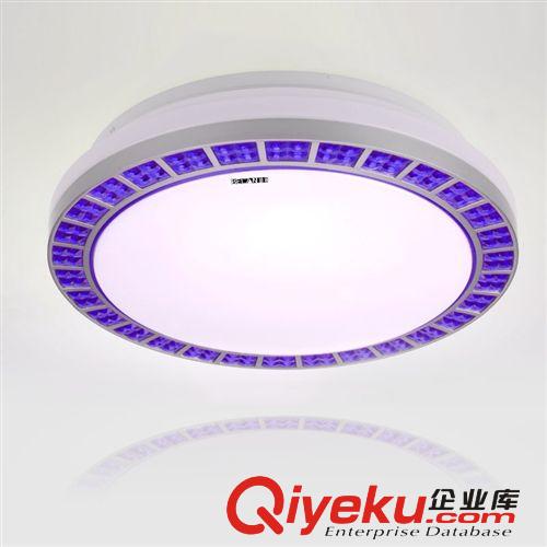 廠家批發 照明燈飾 led燈具 客廳燈飾燈具 吸頂燈 BL008