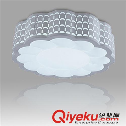廠家低價直銷 裝修必備燈具 現代簡約燈飾 {zx1}款吸頂燈 BL021原始圖片3