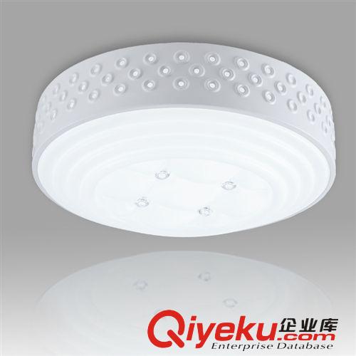 廠家直銷 燈具 led吸頂燈 客廳照明燈具 臥室燈具 創意燈飾 BL025原始圖片2