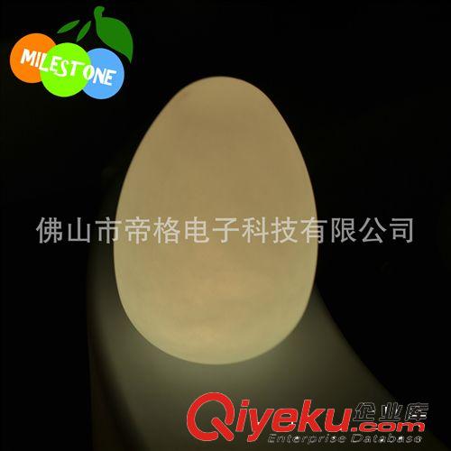 D30*H42cm d LED七彩發(fā)光遙控小夜燈 LED發(fā)光蛋形草坪燈