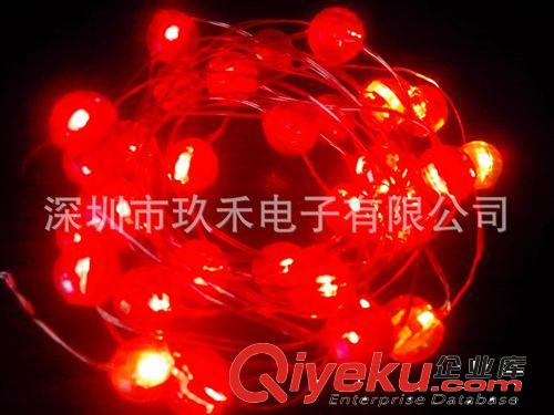 2032笑臉電池盒、led銅線燈串、圣誕led裝飾燈串 燈串生產(chǎn)廠家原始圖片2