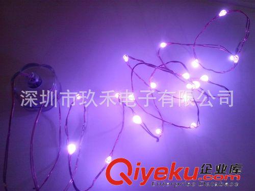 LED銅線燈串、落地花瓶裝飾燈、花盆裝飾燈、防水電池盒.燈串原始圖片2