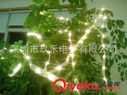 廠家供應：LED圣誕燈串、銅線燈串、裝飾燈串、LED燈串、戶外燈串原始圖片3