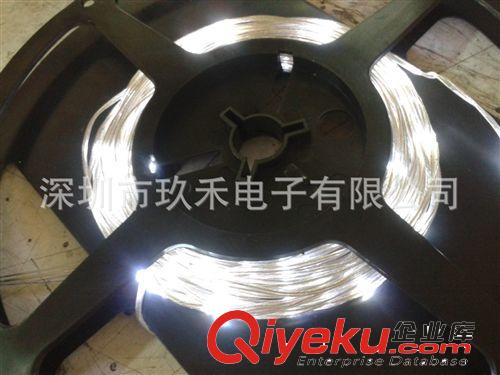 實(shí)力廠家專業(yè)生產(chǎn) LED軟線燈 皮線燈串 軟線燈串 銅線燈串 LED燈