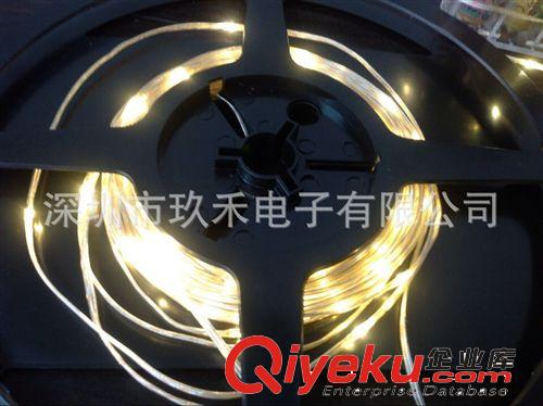 生產廠家直銷：可防水LED網(wǎng)燈 LED軟線燈、圣誕燈衣服燈、燈串