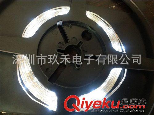 生產廠家直銷：可防水LED網(wǎng)燈 LED軟線燈、圣誕燈衣服燈、燈串