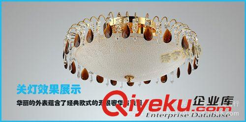 供應(yīng)水晶燈 吸頂燈 浪漫溫馨臥室燈具 經(jīng)典歐式燈 新品tj批發(fā)原始圖片3
