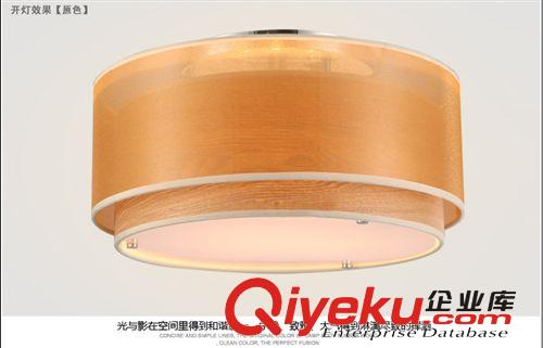 【優(yōu)質(zhì)供應(yīng)】歐式風(fēng)格時尚客廳燈飾簡約時尚原木吊燈吸頂燈飾燈具原始圖片2