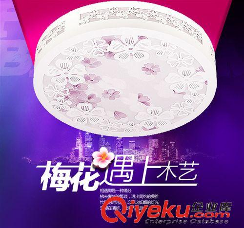 博王XD-020燈具客廳餐廳臥室燈LED吸頂燈飾