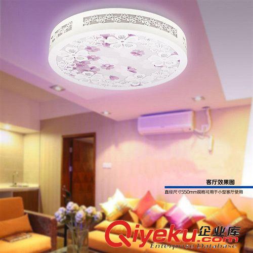博王XD-020燈具客廳餐廳臥室燈LED吸頂燈飾