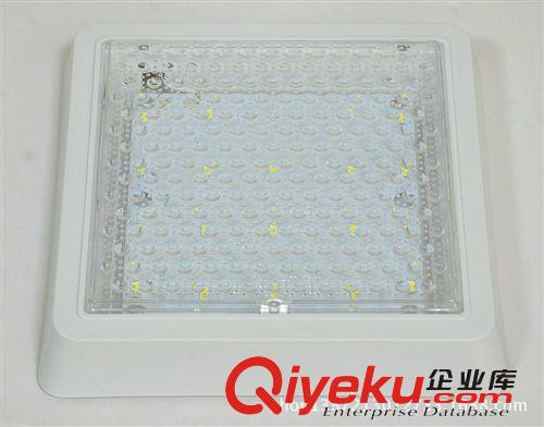 廠家批發(fā) 家居客廳照明燈具新款節(jié)能簡(jiǎn)約球泡燈 MBW-CL103