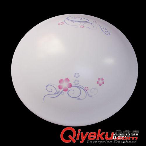 博王CH-XDTJ01燈具客廳餐廳臥室燈LED吸頂燈飾原始圖片2