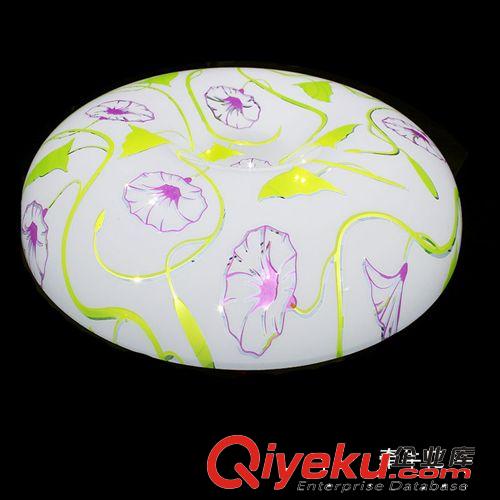 博王CH-XDTJ01燈具客廳餐廳臥室燈LED吸頂燈飾原始圖片3