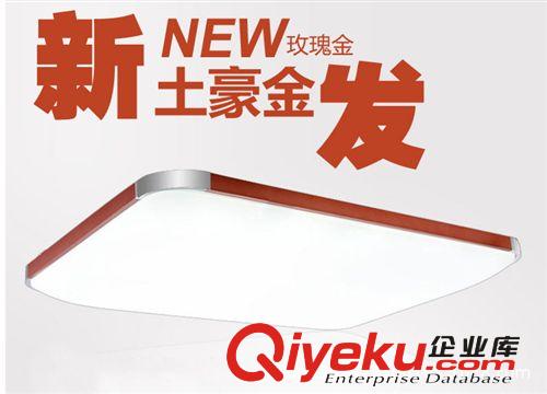 現貨供應 無級調光調色LED吸頂燈簡約現代客廳燈 臥室燈燈具批發原始圖片2