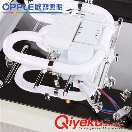 opple/歐普照明zp 集成吊頂廚房嵌入吸頂燈銀龍 JYLZ01-21W原始圖片3