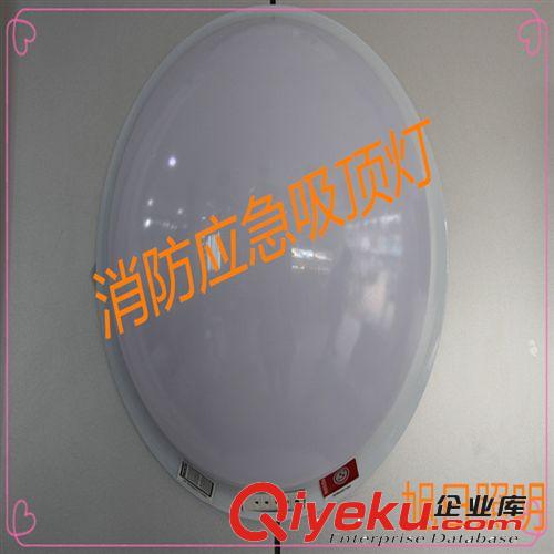 工程專用新國標應急雙頭照明燈具 雙頭應急標志燈