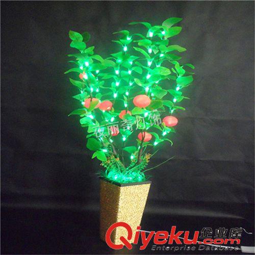 樹燈led 仿真金桔小樹燈 80公分gf真金桔led花瓶燈