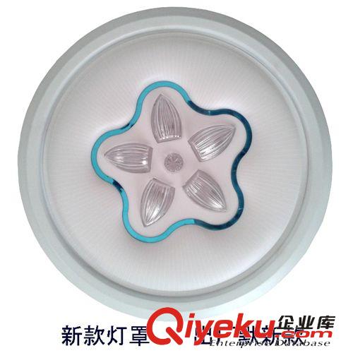 星星點燈LED吸頂燈 現代臥室燈田園溫馨客廳書房陽臺燈亞克力燈具原始圖片2