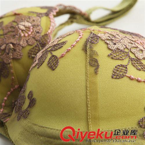 zp一件代發黛安芬爆款聚攏集中型 上托 側收副乳 品牌文胸D3345原始圖片3