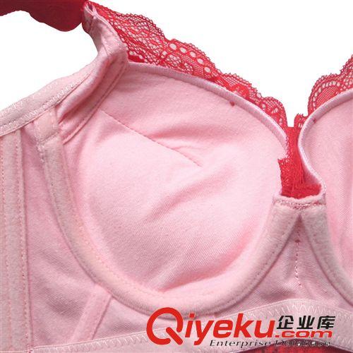 一件代發黛安芬蕾絲性感文胸 調整型文胸 集中聚攏女士內衣D9706原始圖片3