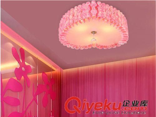 廠家直銷創(chuàng)意現(xiàn)代簡約吸頂燈溫馨房間燈客廳燈led燈具燈飾批發(fā)原始圖片3