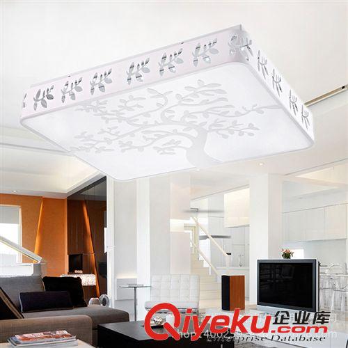 廠家批發(fā) 長(zhǎng)方形吸頂燈客廳燈臥室燈浪漫時(shí)尚亞克力吸頂燈創(chuàng)意燈原始圖片2