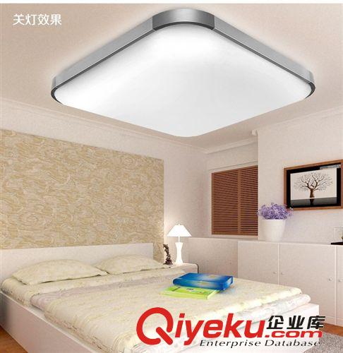 精美蘋(píng)果款式LED鋁材吸頂燈 簡(jiǎn)約現(xiàn)代照明客廳吊頂燈具江浙滬包郵