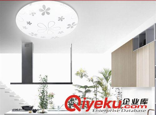 專業提供 led吸頂燈具 過道陽臺燈現代簡約玄關廚房燈臥室燈飾原始圖片2