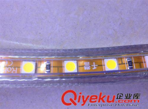 熱銷推薦 5050三芯燈帶 跑馬燈帶 柔性燈帶 LED燈帶批發原始圖片3